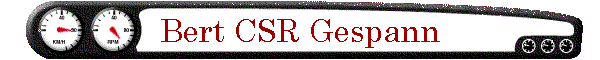 Bert CSR Gespann